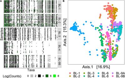 Effects of Rare Microbiome Taxa Filtering on Statistical Analysis